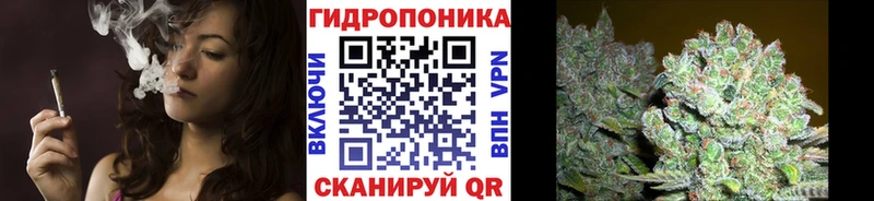 Магазины продажи наркотиков Городец COCAIN МЕФ Конопля