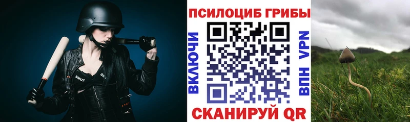 это телеграм Городец Псилоцибиновые грибы мухоморы купить